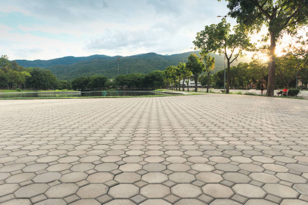 Best Residential Paver Driveway  in Blakely, GA