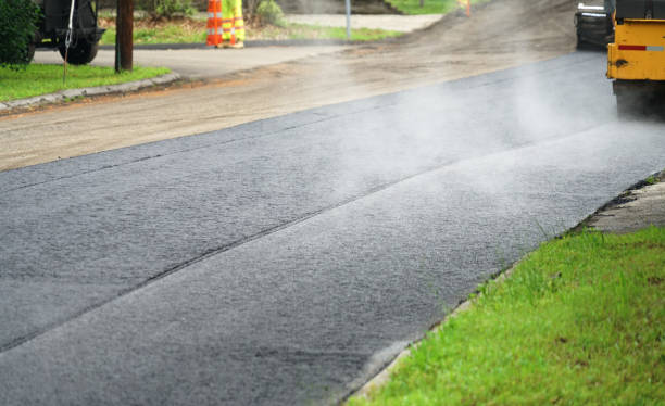 Best Driveway Paving Contractor  in Blakely, GA