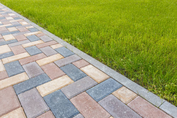 Best Decorative Driveway Pavers  in Blakely, GA